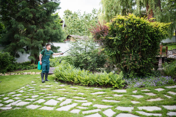 Reliable Lake Forest, CA Pest Control Solutions