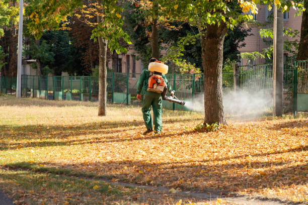 Best Cockroach Control Services  in Lake Forest, CA